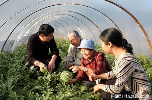 王澍吃瓜,揭秘娱乐圈幕后故事