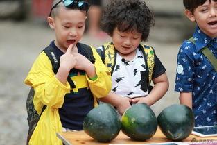 萌娃图片吃瓜,萌态十足，萌化人心