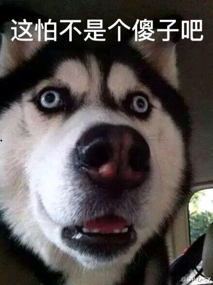 jk事件吃瓜,网络舆论的风暴与真相探寻