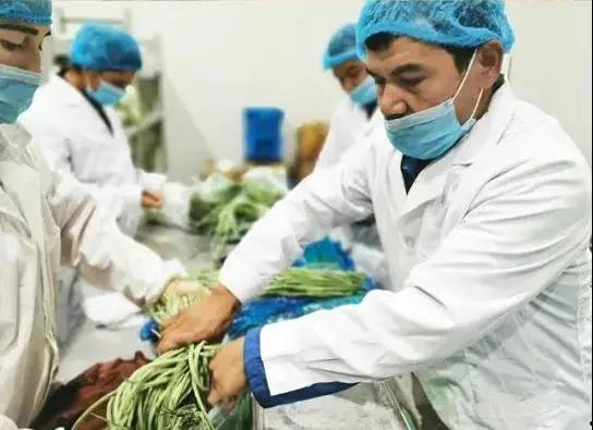 疫情间吃瓜,揭秘网络舆论的狂欢与反思