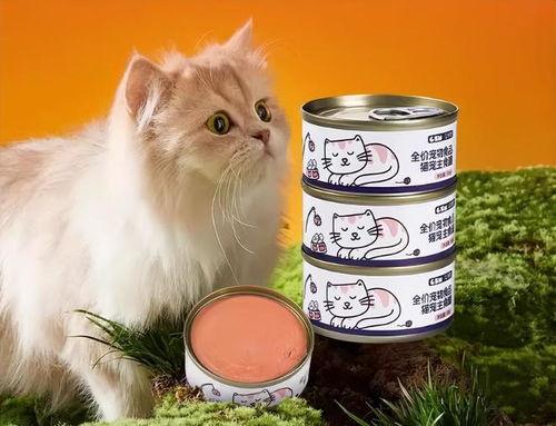 瓜洲牧猫条会吃死吗,揭秘其安全性及食用风险