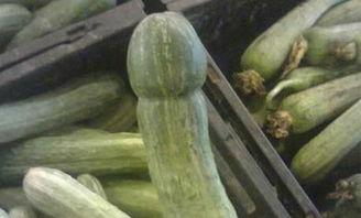 吃瓜好玩图片,趣味吃瓜图鉴