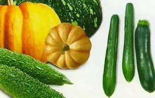 夏天吃瓜减肥推荐,瓜果飘香，轻松瘦出好身材