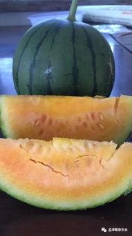 回家吃亲戚的瓜,一场关于家庭秘密的“瓜”宴