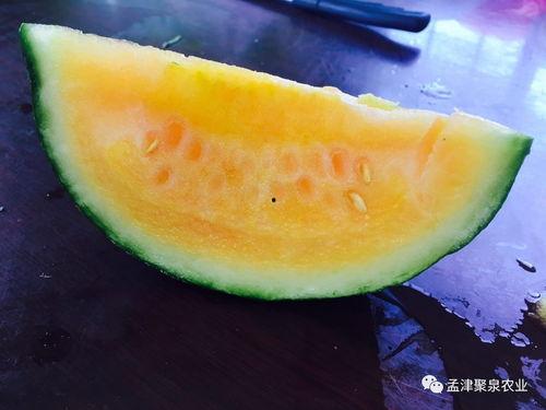 回家吃亲戚的瓜,一场关于家庭秘密的“瓜”宴