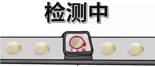 吃瓜投喂,揭秘娱乐圈背后的温馨互动