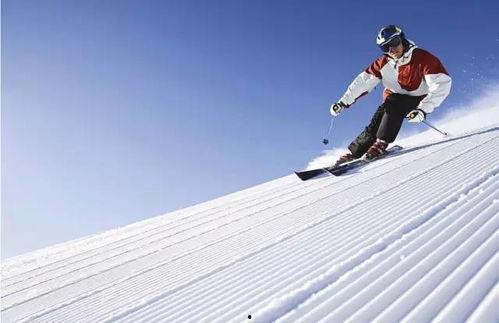 意大利滑雪队吃瓜,揭秘背后的真相与争议