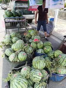 永康世贸吃瓜事件