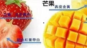 免费吃瓜福利群,畅享娱乐盛宴，轻松解锁快乐生活