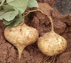 率土吃瓜事件,吃瓜群众揭秘游戏圈风云变幻