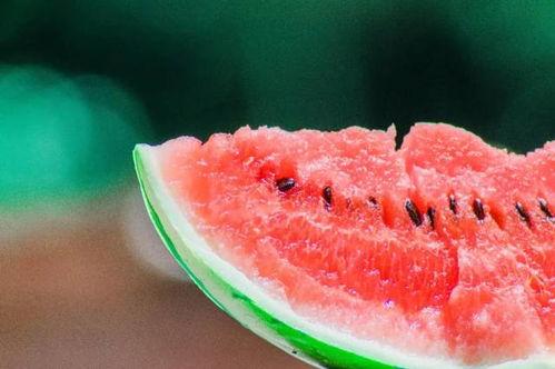 吃瓜吐嚼嚼,品味生活百态