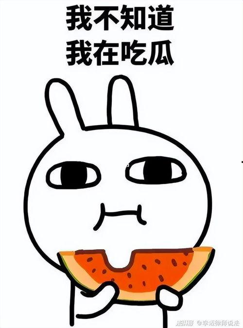 吃瓜吐嚼嚼,品味生活百态