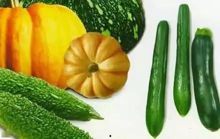 大院吃瓜忙,揭秘吃瓜群众的热情与智慧