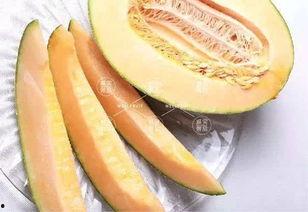 土豪吃哈密瓜,揭秘哈密瓜的奢华之旅