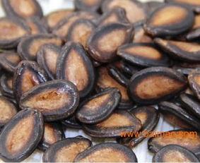 屎瓜葫芦的籽可以吃吗,揭秘可食用之谜