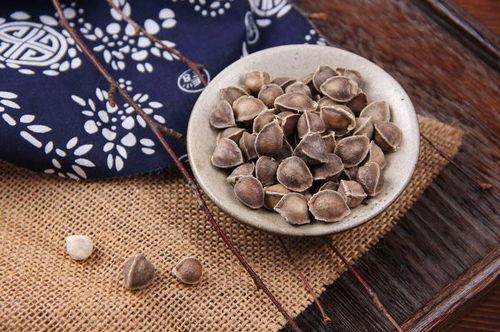 屎瓜葫芦的籽可以吃吗,揭秘可食用之谜