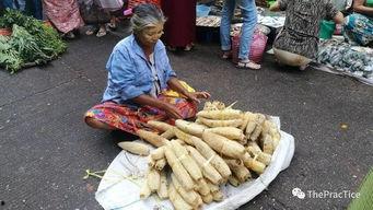 缅甸火车吃瓜,缅甸火车上的独特“吃瓜”文化体验