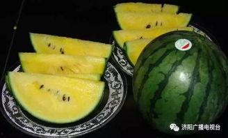 吃瓜西交大,揭秘校园里的那些“瓜”