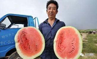 全国热门吃瓜,盘点那些让人“吃瓜”不停的热门事件