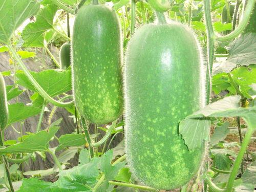 xty吃瓜,揭秘娱乐圈背后的那些事儿