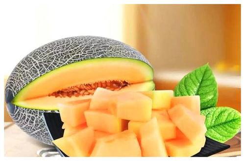 哈密瓜三蔓二果吃瓜,高效种植秘诀解锁丰收之门